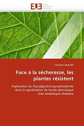 Face à la sécheresse, les plantes résistent