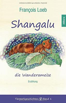 Shangalu, die Wanderameise