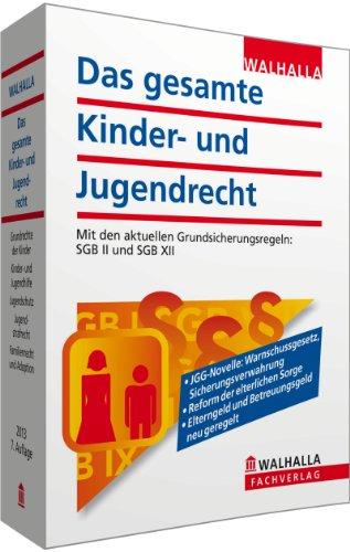 Das gesamte Kinder- und Jugendrecht Ausgabe 2013: Mit den aktuellen Grundsicherungsregeln: SGB II und SGB XII