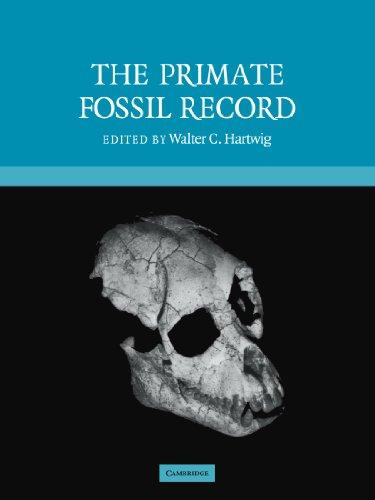 The Primate Fossil Record (Cambridge Studies in Biological and Evolutionary Anthropology, Band 33)