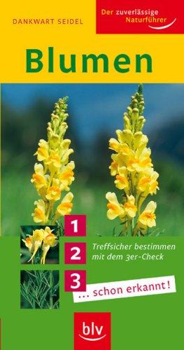 Blumen: Treffsicher bestimmen mit dem 3er-Check 1... 2... 3... ...schon erkannt!