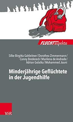 Minderjährige Geflüchtete in der Jugendhilfe (Fluchtaspekte / Geflüchtete Menschen psychosozial unterstützen und begleiten)