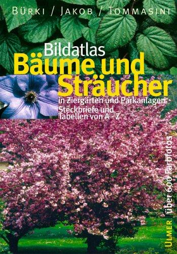 Bildatlas Bäume und Sträucher in Ziergärten und Parkanlagen: Streckbriefe und Tabellen von A - Z