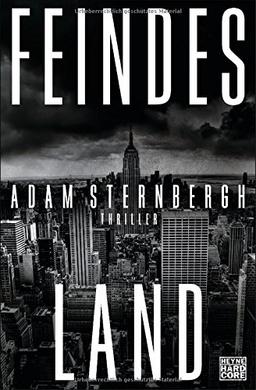 Feindesland: Thriller