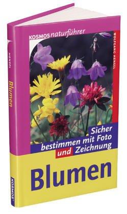 Wildblumen