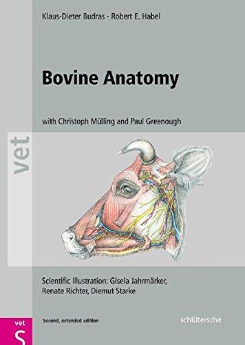 Bovine Anatomy (Vet (Schlutersche))