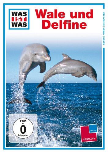 WAS IST WAS TV: Wale und Delfine