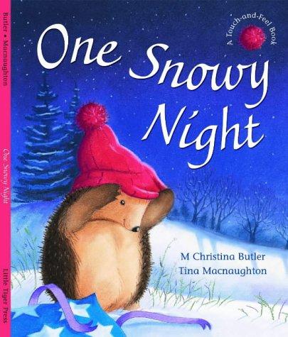 One Snowy Night