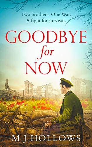 GOODBYE FOR NOW: A breathtaking historical debut