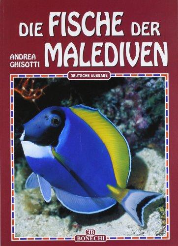 Die Fische der Malediven