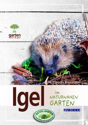 Igel im naturnahen Garten