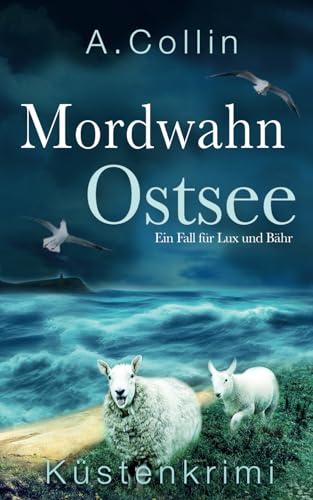 Mordwahn Ostsee: Küstenkrimi (Ein Fall für Lux und Bähr 8) (Die Ostseekommissare Lux und Bähr, Band 8)