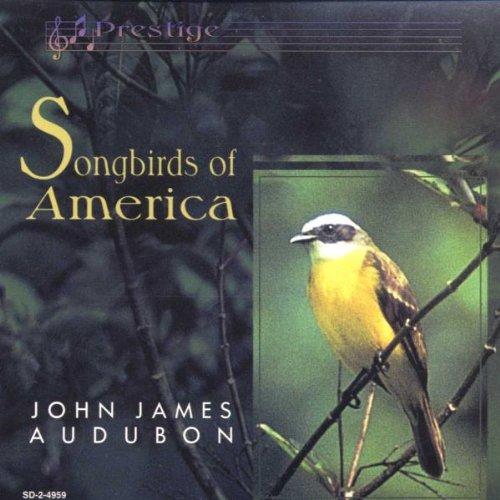 Song Birds of America---------