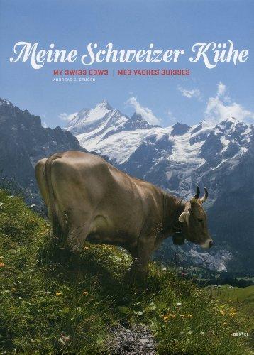 Meine Schweizer Kühe. My Swiss cows. Mes vaches Suisses