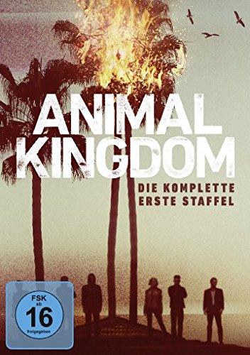 Animal Kingdom - Die komplette erste Staffel [3 DVDs]