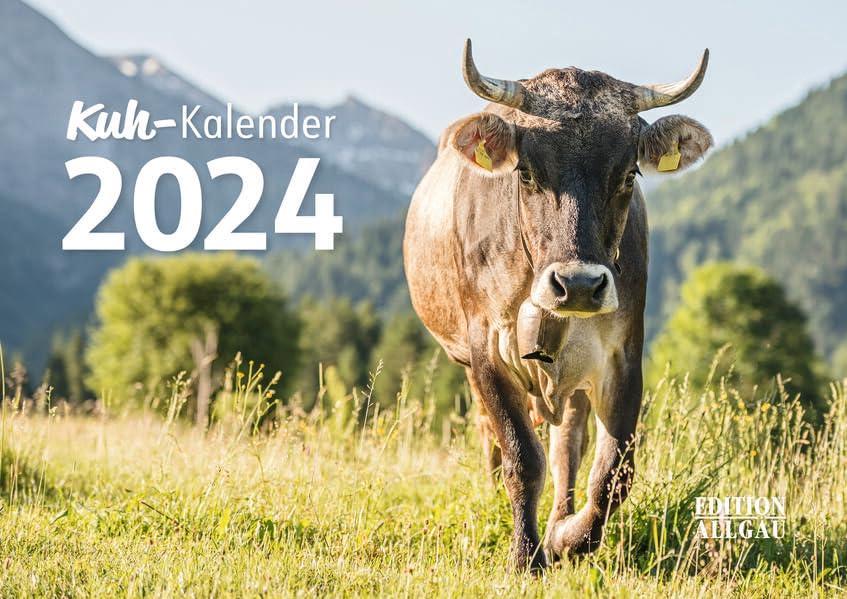 Kuh-Kalender 2024: mit Allgäuer Braunvieh