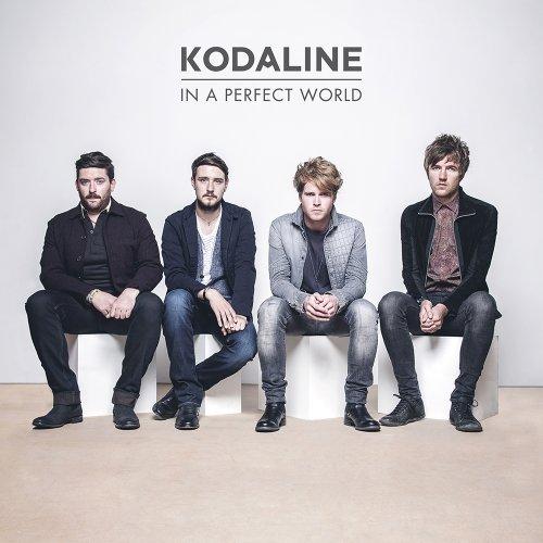 In a Perfect World (Deluxe)