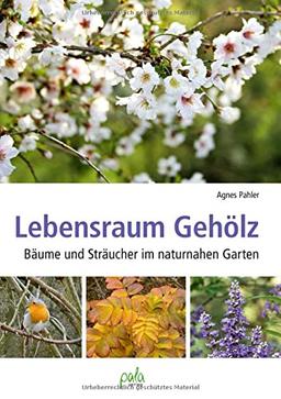 Lebensraum Gehölz: Bäume und Sträucher im naturnahen Garten