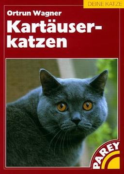 Kartäuserkatzen