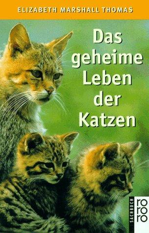 Das geheime Leben der Katzen.