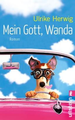 Mein Gott, Wanda: Roman