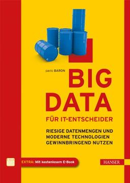 Big Data für IT-Entscheider: Riesige Datenmengen und moderne Technologien gewinnbringend nutzen