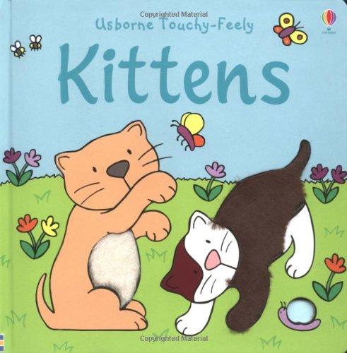 Usborne Big Touchy Feely Book of Kittens (Touchy-Feely Board Books)