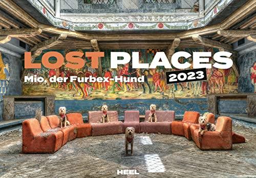 Lost Places 2023: Mio, der Furbex-Hund