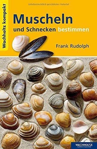 Muscheln und Schnecken bestimmen. Kompakt (Wachholtz Kompakt)