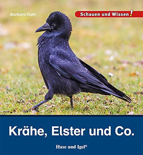 Krähe, Elster und Co.: Schauen und Wissen!