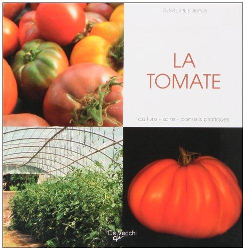 La tomate : culture, soins, conseils pratiques