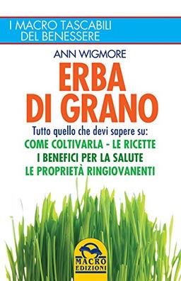 Erba di grano. Come coltivarla. Ricette, proprietà e benefici