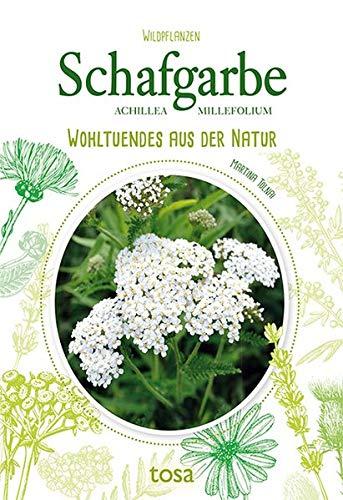 Schafgarbe: Wohltuendes aus der Natur