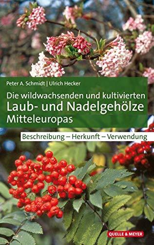 Die wildwachsenden und kultivierten Laub- und Nadelgehölze Mitteleuropas: Beschreibung – Herkunft – Verwendung