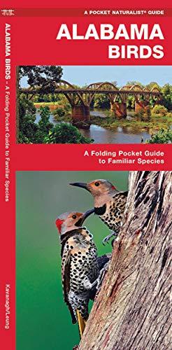 Alabama Birds: A Folding Pocket Guide to Familiar Species: An Introduction to Familiar Species (Pocket Naturalist Guide Series)