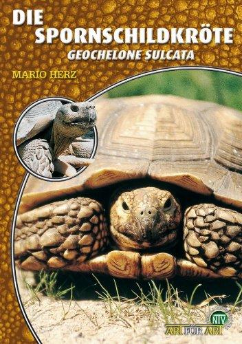 Die Spornschildkröte: Geochelone sulcata