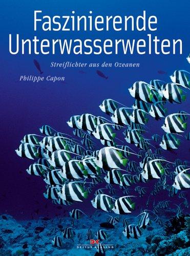 Faszinierende Unterwasserwelten: Streiflichter aus dem Ozean