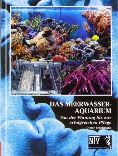 Das Meerwasseraquarium: Von der Planung bis zur erfolgreichen Pflege