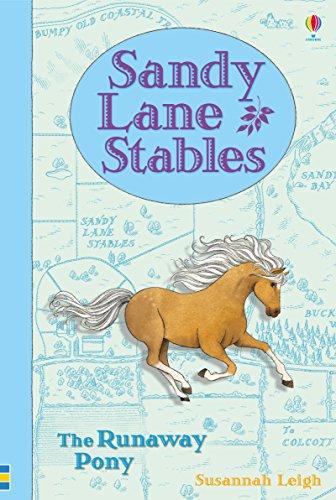 Sandy Lane Stables: The Runaway Pony (Young Reading)