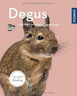 Degus: Halten, pflegen, verstehen (Mein Tier)