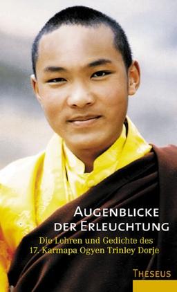 Augenblicke der Erleuchtung. Die Lehren und Gedichte des 17. Karmapa Ogyen Trinley Dorje