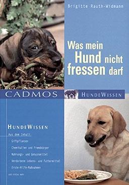 Was mein Hund nicht fressen darf (Cadmos Hundewissen)