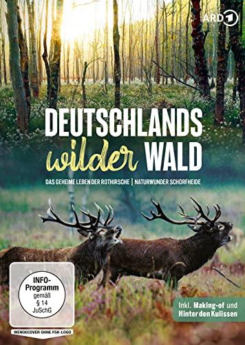 Deutschlands wilder Wald: Das geheime Leben der Rothirsche / Naturwunder Schorfheide