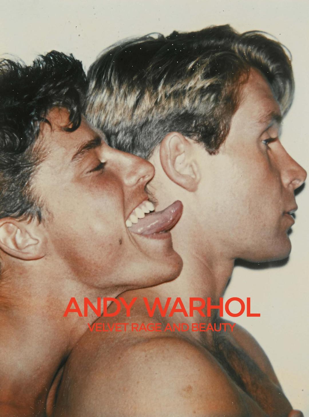 Andy Warhol: Velvet Rage and Beauty. Englische Ausgabe mit Textbooklet in Deutsch