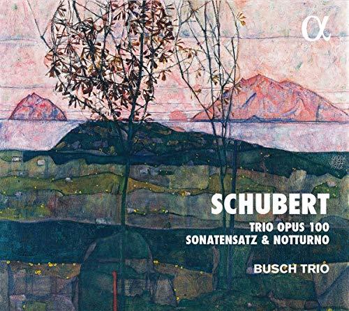 Schubert: Trio Opus 100 / Sonatensatz / Notturno