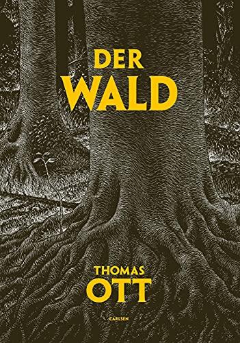 Der Wald: Vom Dunkel ins Licht