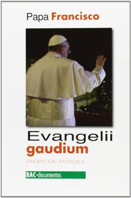 Evangelii gaudium: exhortación apostólica sobre el anuncio del Evangelio en el mundo de hoy (DOCUMENTOS, Band 47)