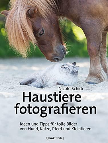 Haustiere fotografieren: Ideen und Tipps für tolle Bilder von Hund, Katze, Pferd und Kleintieren