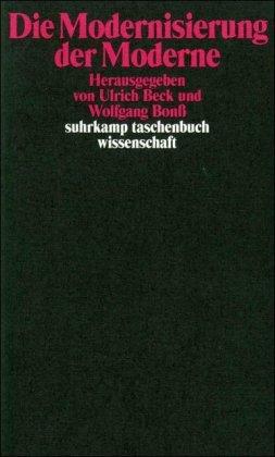 Die Modernisierung der Moderne (suhrkamp taschenbuch wissenschaft)