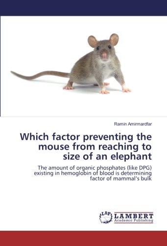 Which factor preventing the mouse from reaching to size of an elephant: The amount of organic phosphates (like DPG) existing in hemoglobin of blood is determining factor of mammal’s bulk